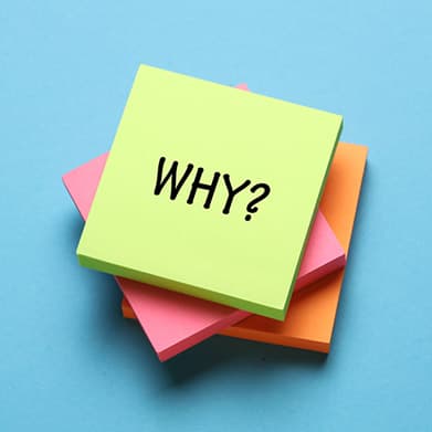 Why invest in Blue Star Elevators